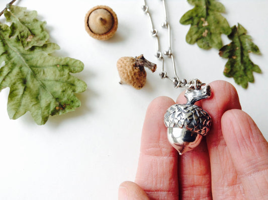 The Acorn