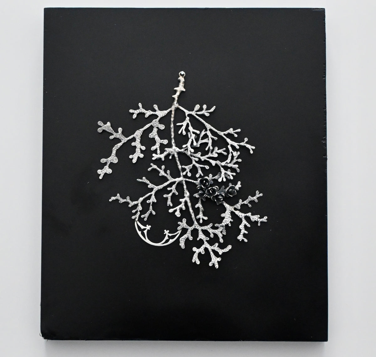Cedar is Sacred - Wall Sculpture