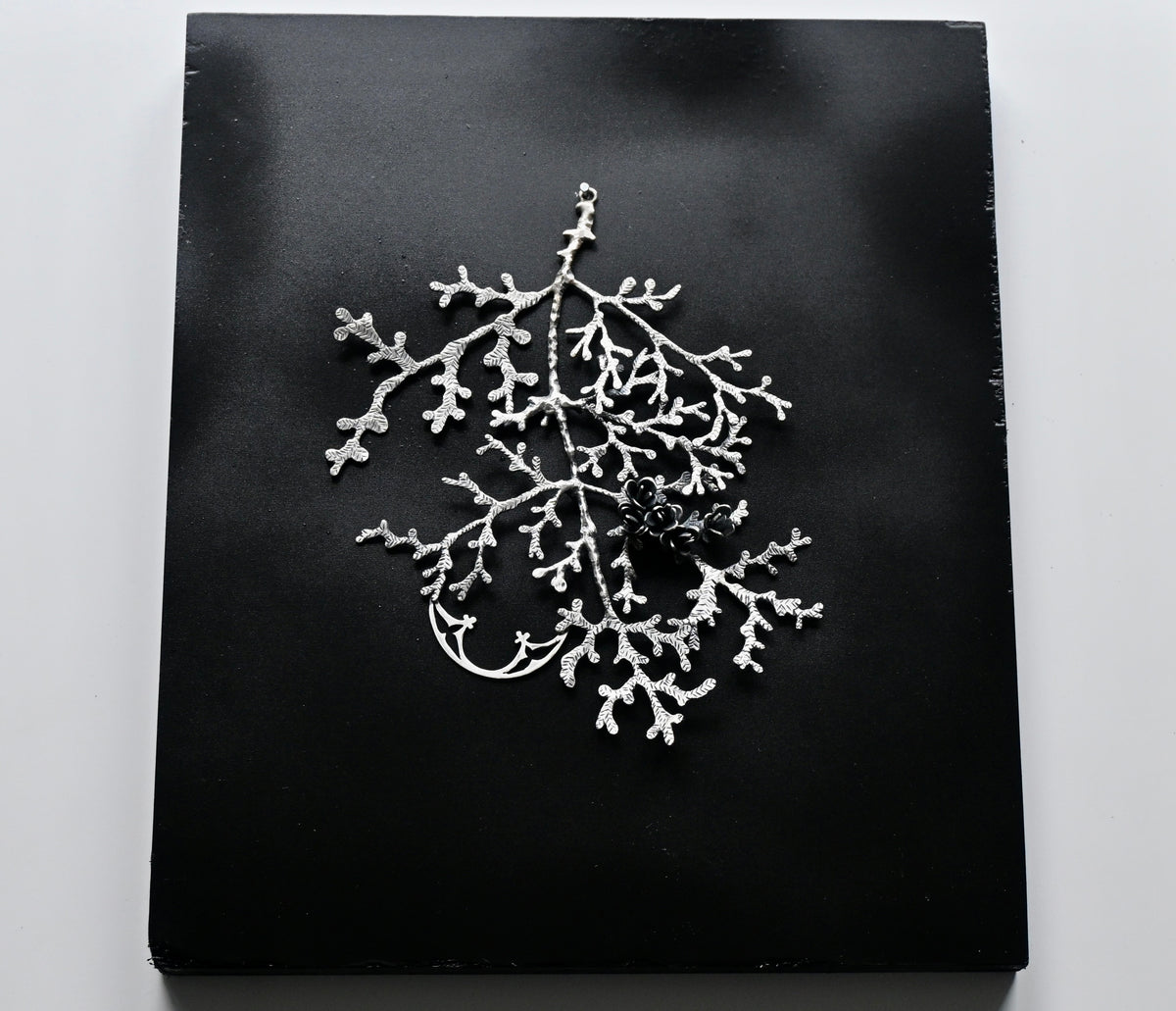 Cedar is Sacred - Wall Sculpture