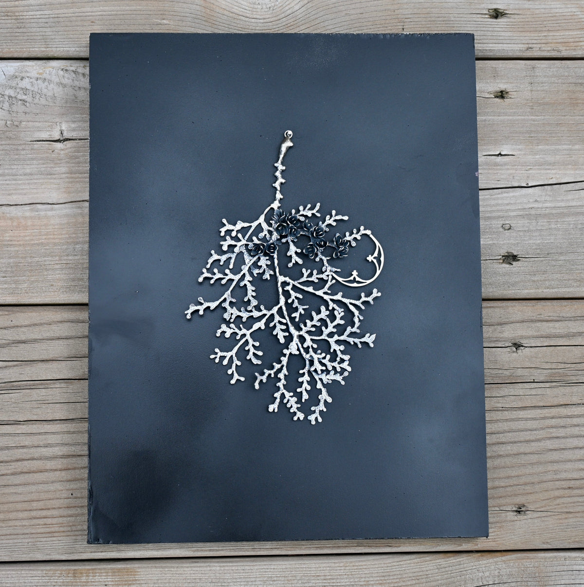 Cedar is Sacred - Wall Sculpture